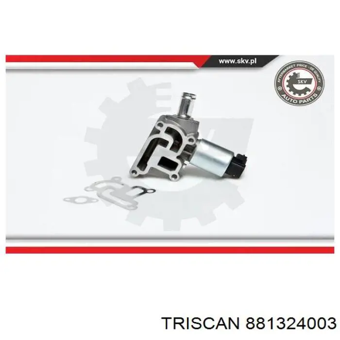 Comprar EGRAZ7073 Aisin Válvula EGR