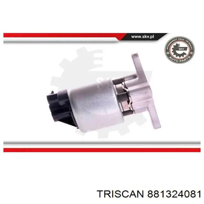 Comprar T493002 STC Válvula EGR