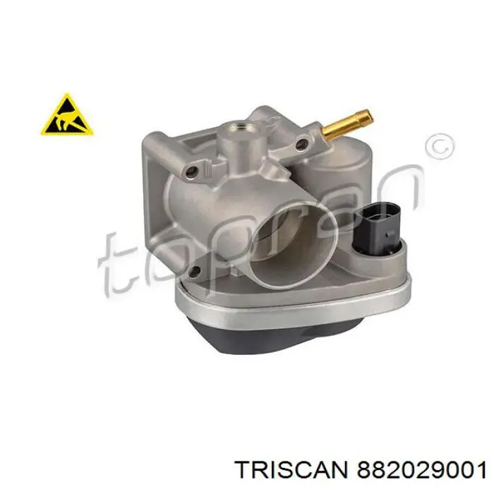 Cuerpo de mariposa completo Audi A2 8Z0