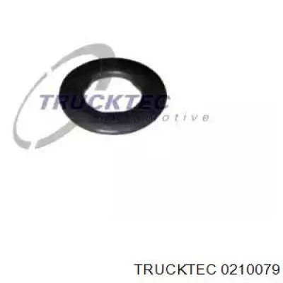 02.10.079 Trucktec junta de inyectores