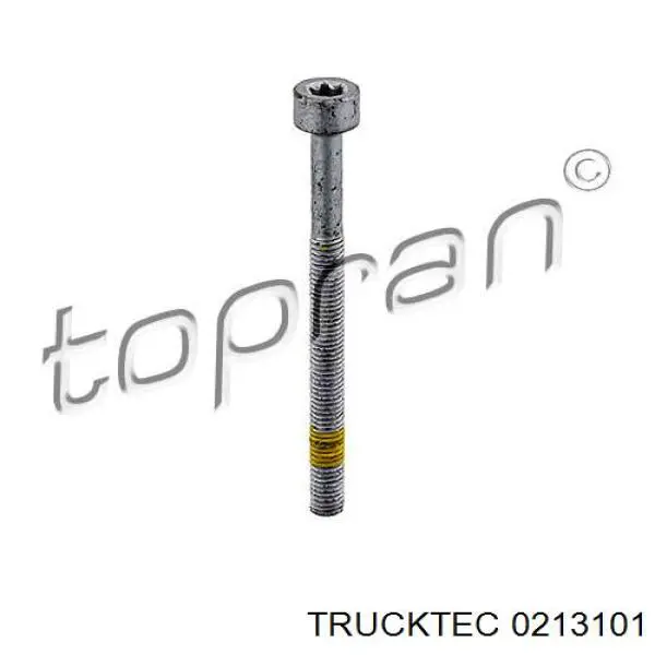 02.13.101 Trucktec tornillo, soporte inyector