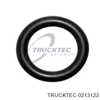 02.13.122 Trucktec anillo de sellado de tubería de combustible