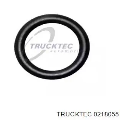 02.18.055 Trucktec junta de radiador de aceite