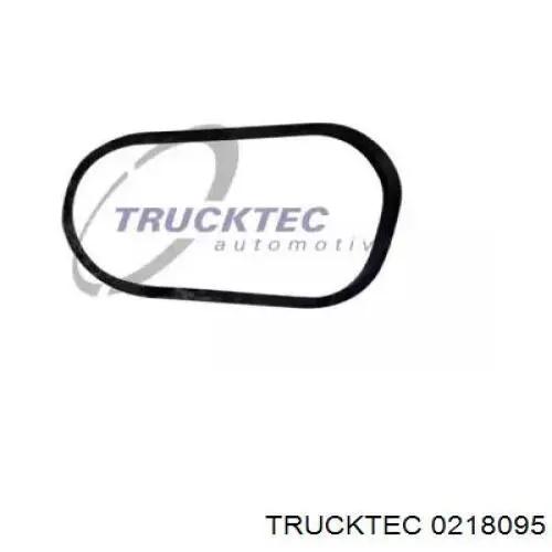 02.18.095 Trucktec junta de radiador de aceite
