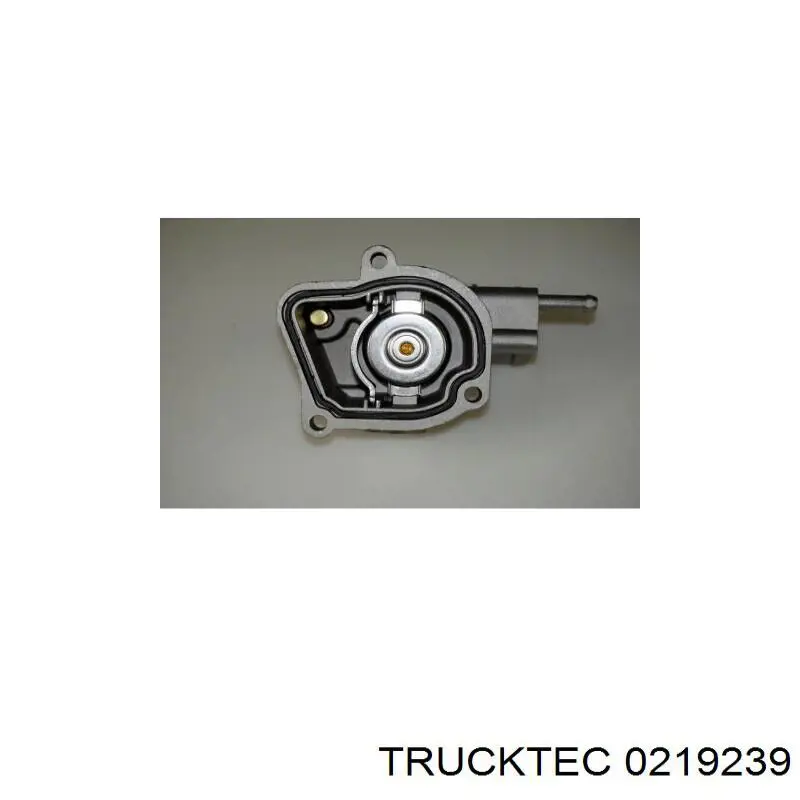 02.19.239 Trucktec termostato