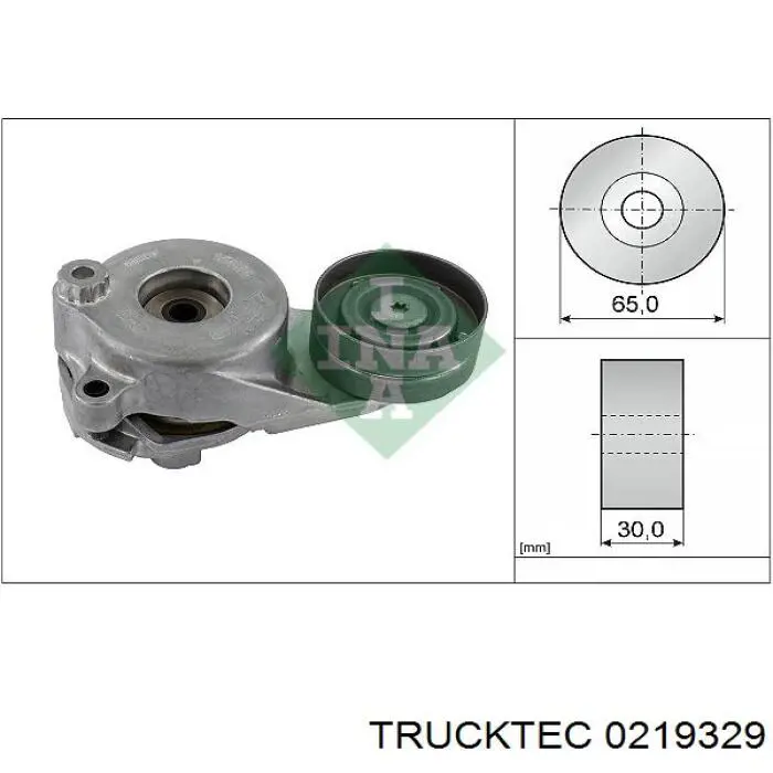 02.19.329 Trucktec tensor de correa, correa poli v