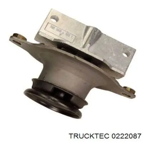 02.22.087 Trucktec montaje de transmision (montaje de caja de cambios)