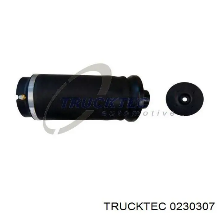 Bolsa de aire del eje trasero Trucktec 0230307 precio, desde 156,39 EUR