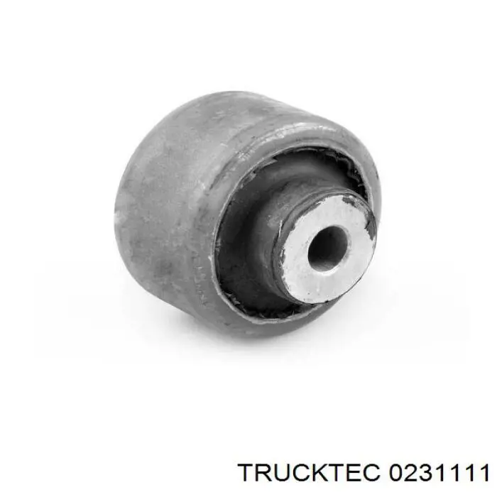 02.31.111 Trucktec silentblock de suspensión delantero inferior