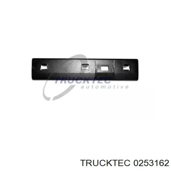 Embellecedor de puerta trasera izquierda Trucktec 0253162 precio, desde 6,20 EUR