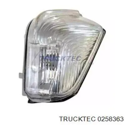 Comprar 0258363 Trucktec Luz intermitente de espejo retrovisor izquierdo