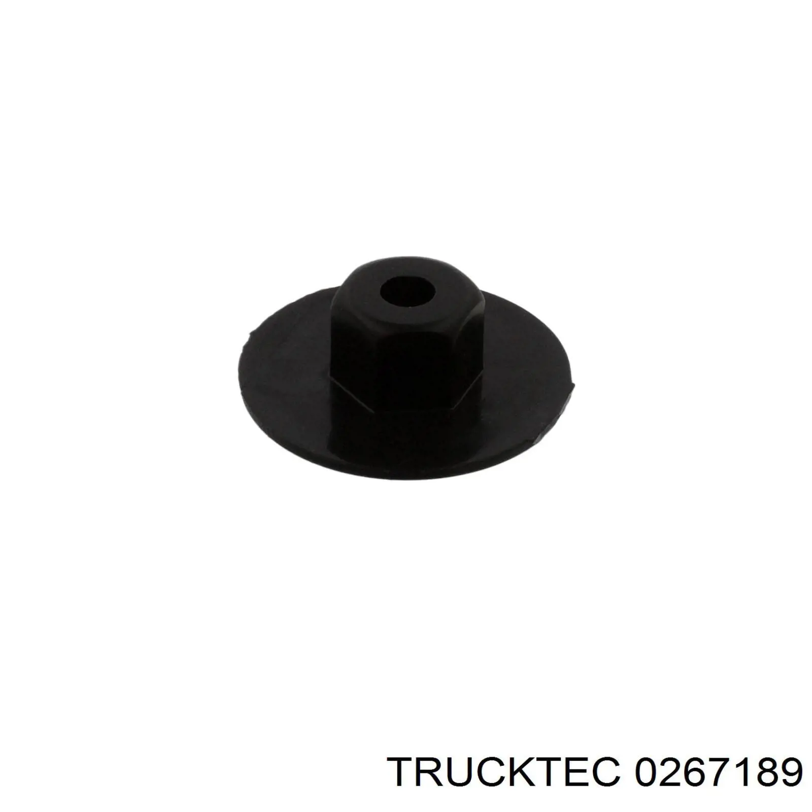 02.67.189 Trucktec tornillo (tuerca de sujeción)