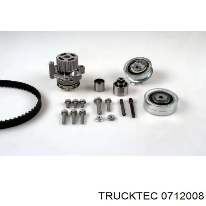 Rodillo, cadena de distribución Audi A6 4G2, 4GC