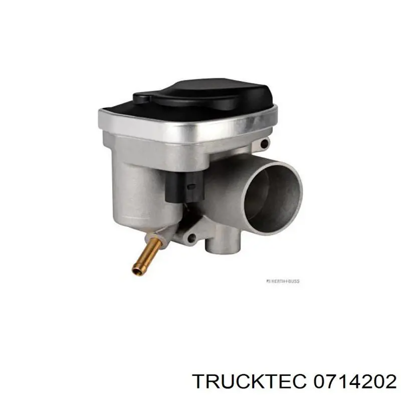 Cuerpo de mariposa completo Audi A2 8Z0