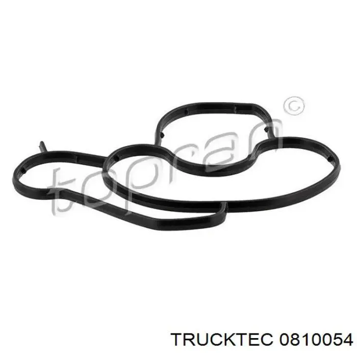 08.10.054 Trucktec junta, adaptador de filtro de aceite
