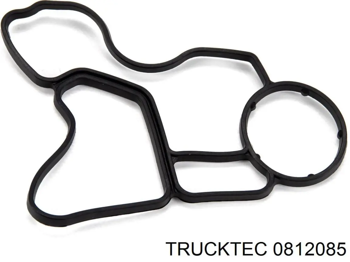 Válvula control, ajuste de levas BMW 5 E61