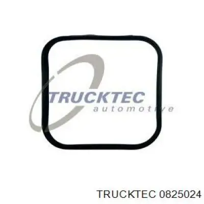 0825024 Trucktec junta, cárter de aceite, caja de cambios