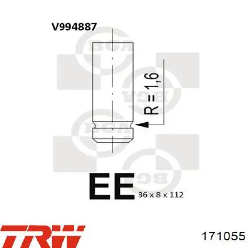 171055 TRW válvula de escape