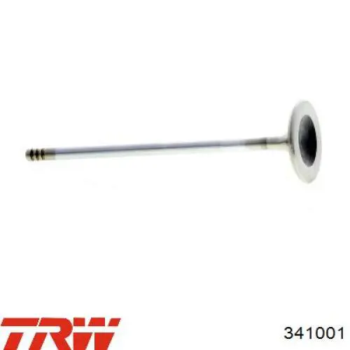 Válvula de admisión Freccia 6051SCR precio, desde 7,44 EUR