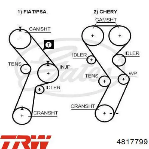 4817799 TRW correa distribucion