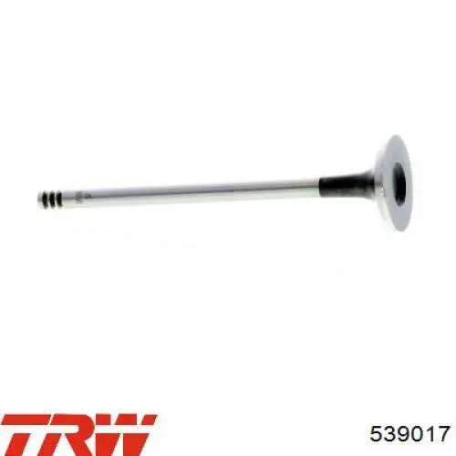 Válvula de escape TRW 539017 precio, desde 5,76 EUR