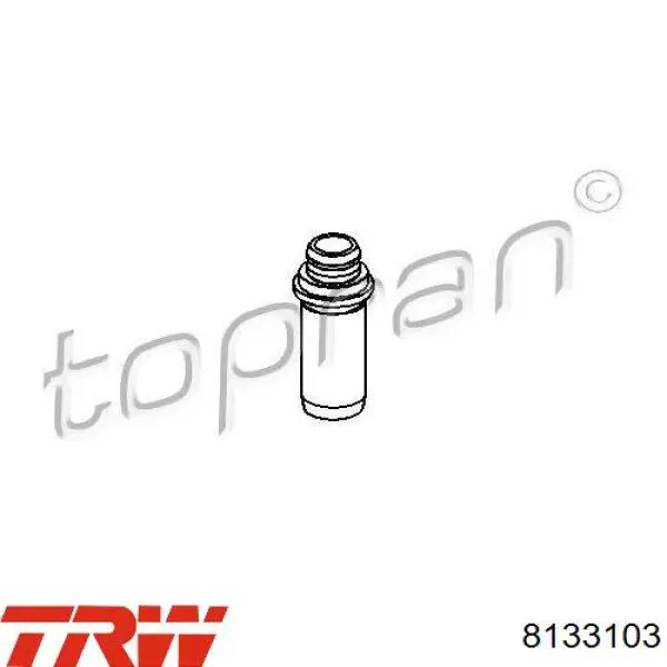 Guía de válvula TRW 8133103 precio, desde 3,39 EUR