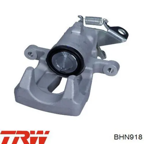 Pinza de freno trasera izquierda 440110830R Renault (RVI)