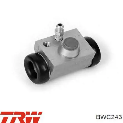 Comprar 441007003R Renault (RVI) Cilindro de freno de rueda trasera