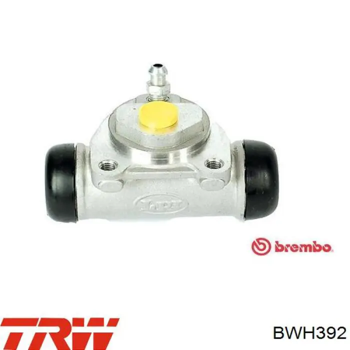 Cilindro de freno de rueda trasera Renault (RVI) 460116664R precio, desde 15,61 EUR