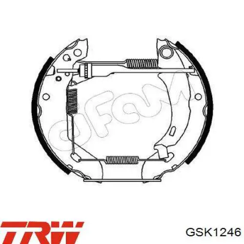 Comprar GSK1246 TRW 