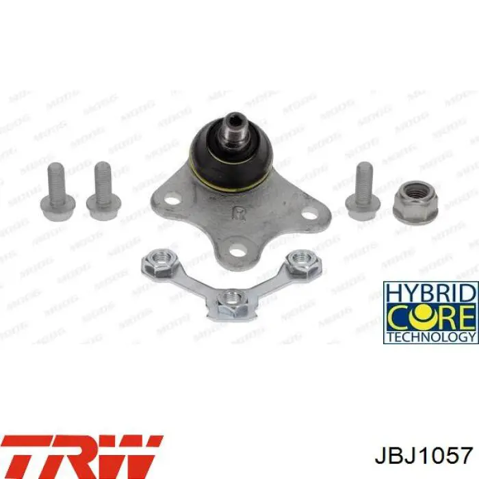 Rótula de suspensión inferior derecha TRW JBJ1057 precio, desde 17,56 EUR