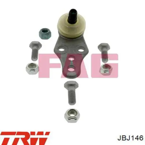 Rótula inferior de suspensión TRW JBJ146 precio, desde 11,78 EUR