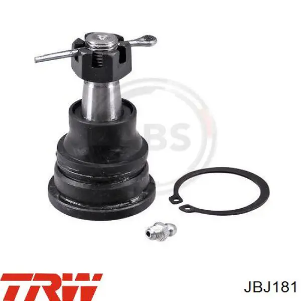 JBJ181 TRW Rótula inferior de suspensión
