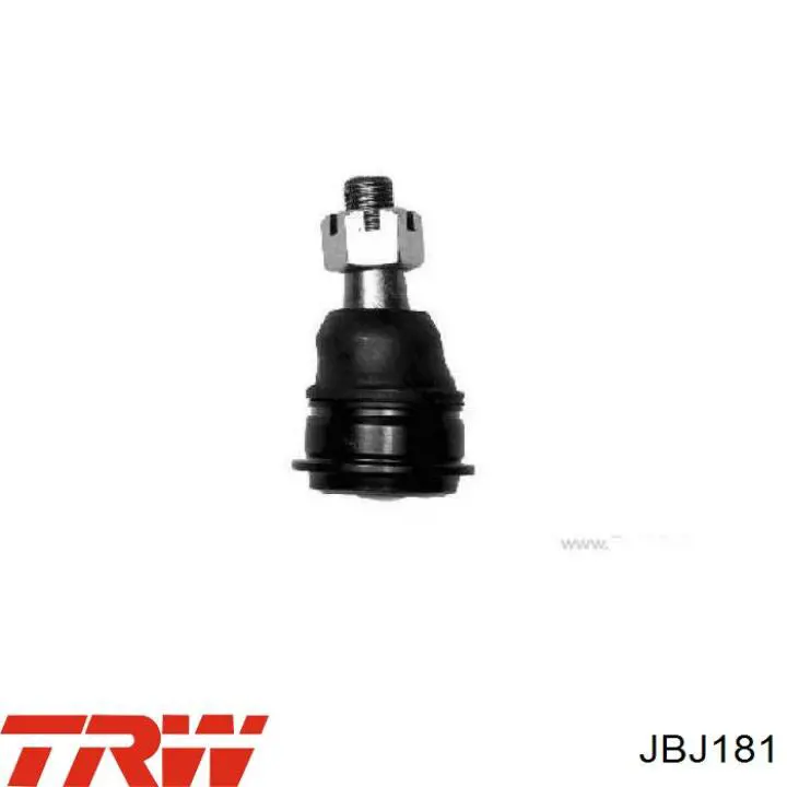 Comprar JBJ181 TRW Rótula inferior de suspensión