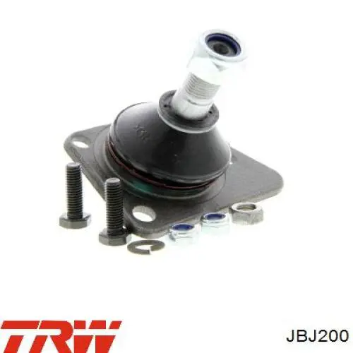 Cojinete de bola inferior derecho RTS 9300495056