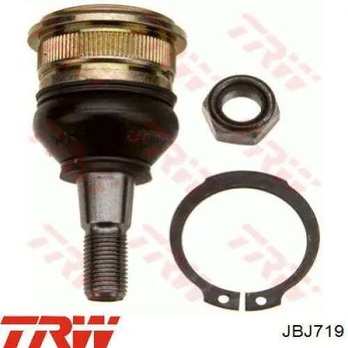 Rótula inferior de suspensión JBJ719 TRW