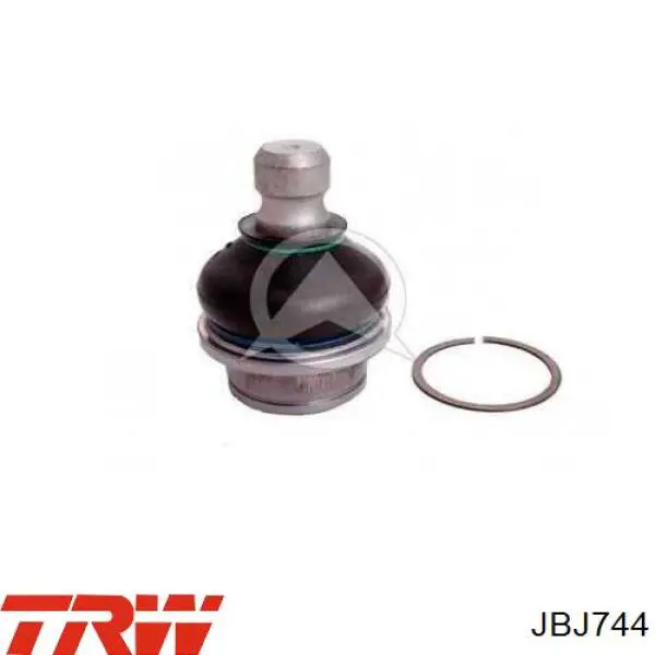 Rótula inferior de suspensión trasera TRW JBJ744 precio, desde 19,78 EUR