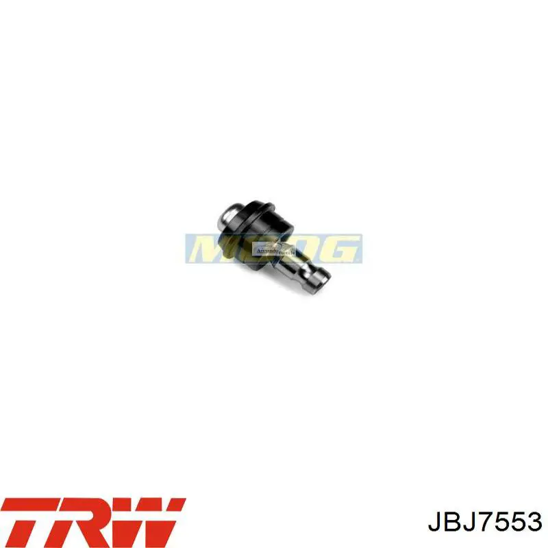Rótula inferior de suspensión TRW JBJ7553 precio, desde 10,95 EUR