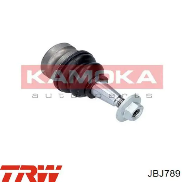 Comprar JBJ789 TRW Rótula inferior de suspensión