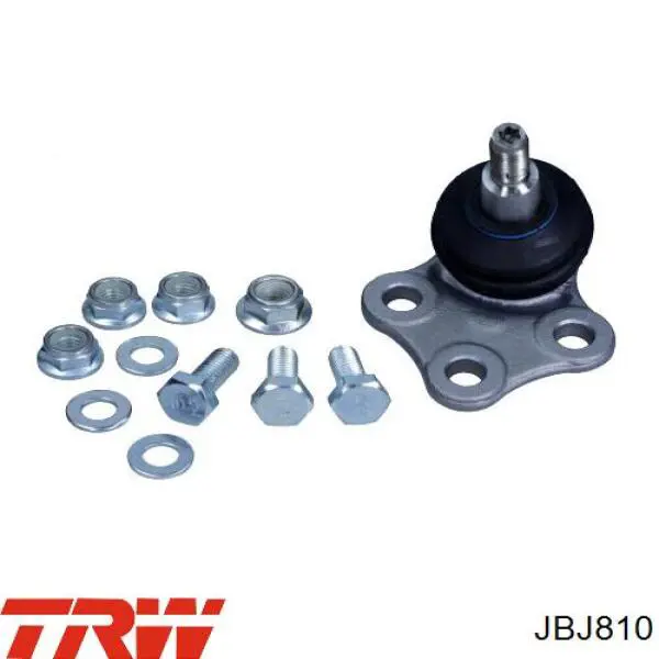 Comprar JBJ810 TRW Rótula inferior de suspensión