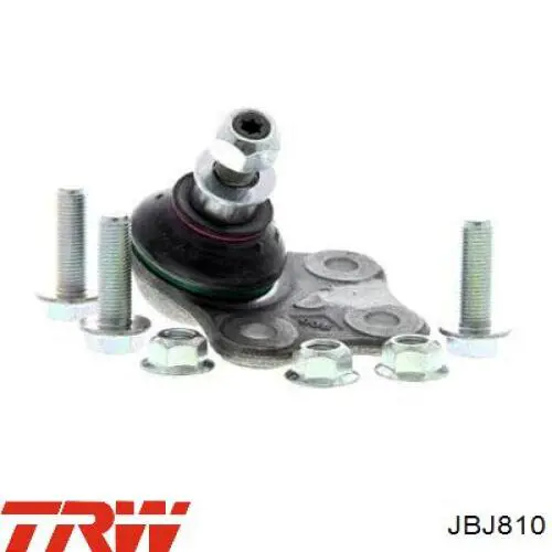 JBJ810 TRW rótula de suspensión inferior