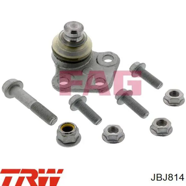 Rótula de suspensión inferior derecha TRW JBJ814 precio, desde 19,90 EUR