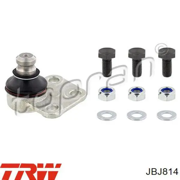 Comprar JBJ814 TRW Rótula de suspensión inferior derecha