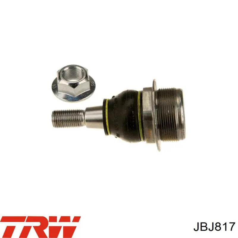 Comprar 8660005585 Renault (RVI) Rótula de suspensión inferior izquierda