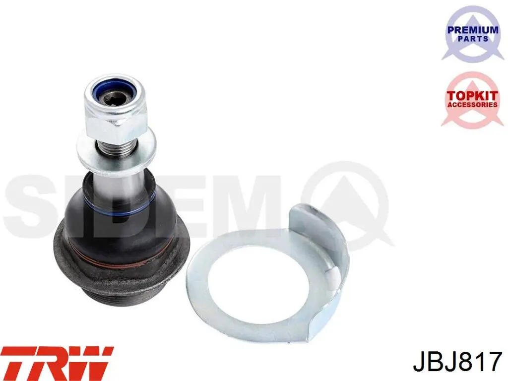 Rótula de suspensión inferior izquierda 8660005585 Renault (RVI)