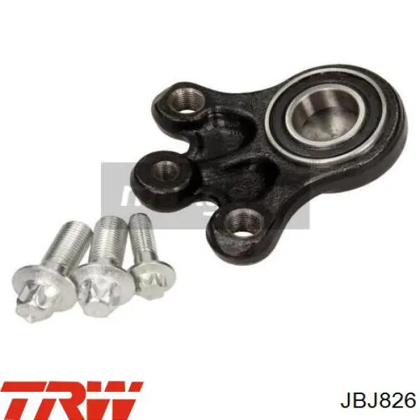 Rótula inferior de suspensión TRW JBJ826 precio, desde 42,14 EUR