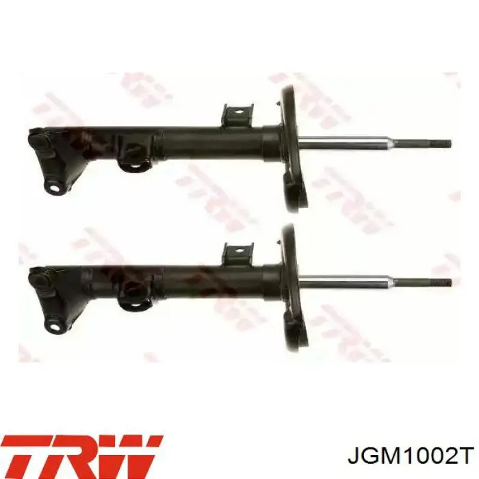 Amortiguadores TRW JGM1002T precio, desde 67,77 EUR