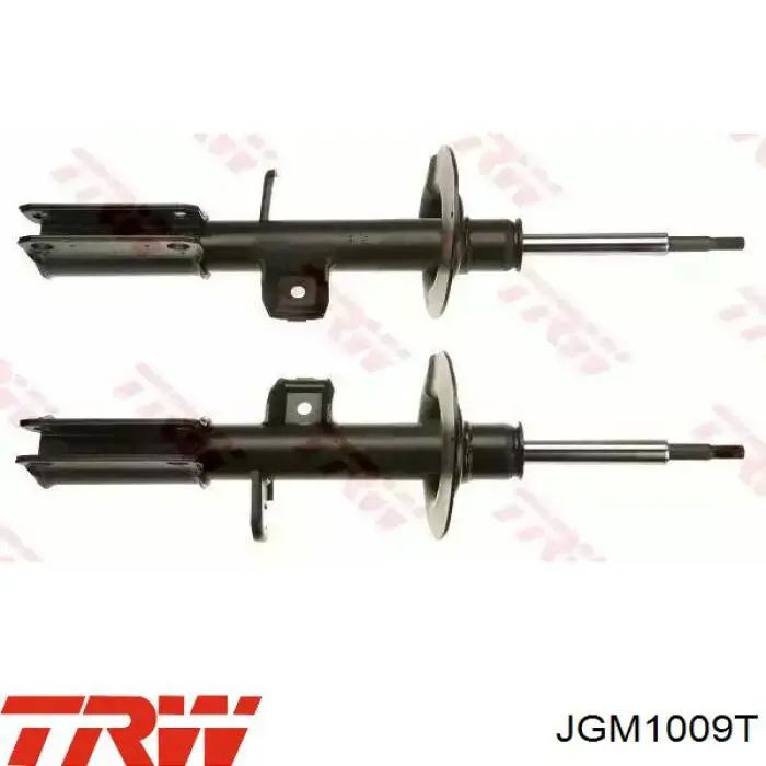 Amortiguadores TRW JGM1009T precio, desde 72,43 EUR