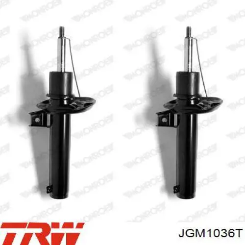 Amortiguadores TRW JGM1036T precio, desde 46,32 EUR