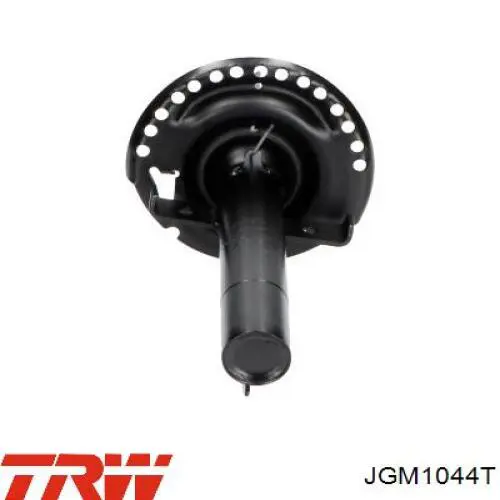 Amortiguador delantero 8200335193 Renault (RVI)